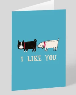 Gemma Correll Valentine's Day|Anniversary*Personalised I Like You Greeting Card | Ohh Deer