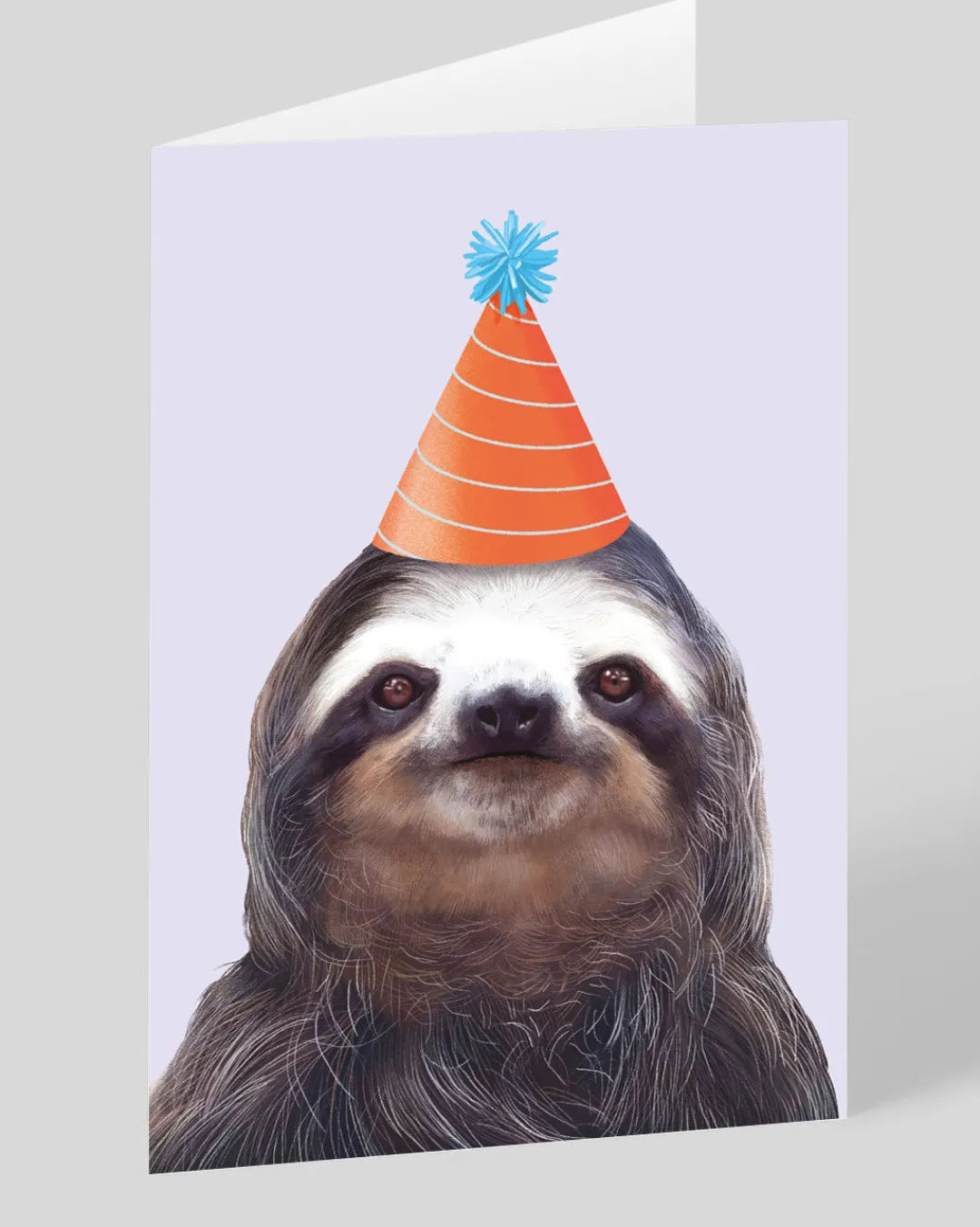 Ohh Deer Birthday|Congratulations*Personalised Party Hat Sloth Greeting Card |