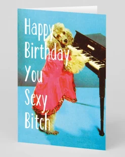 Smitten Kitten Birthday|Birthday Cards*Personalised Sexy Bitch Birthday Card | Ohh Deer