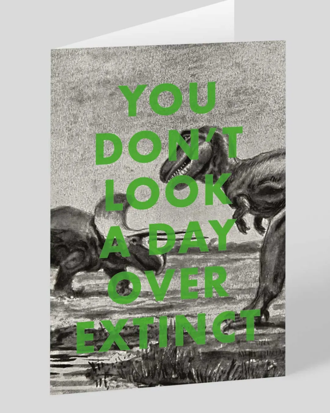 Ohh Deer Birthday|Birthday Cards*Personalised You Don't Look a Day Over Extinct Birthday Card |