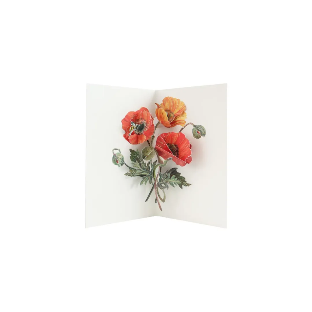 UWP Luxe Pop Up & 3d Cards|Birthday Cards*Poppies 3D Pop Up Greeting Card | Ohh Deer