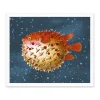 Ohh Deer Prints*Puffer Fish Riso Print (12x10)