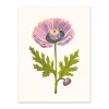 Ohh Deer Prints*Purple Poppy 1 Riso Print (8x6)