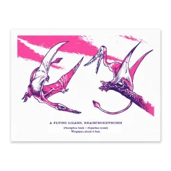 Natural History Museum Prints*Rhamphorhynchus Riso Print (8x6)