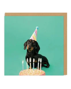 Say Cheese Birthday Cards*Scout Party Hat Square Birthday Greeting Card