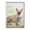 Smitten Kitten Birthday Cards*Send Nudes Greeting Card - | Ohh Deer