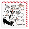 Gemma Correll Birthday Cards*Son Yappy Birthday Card