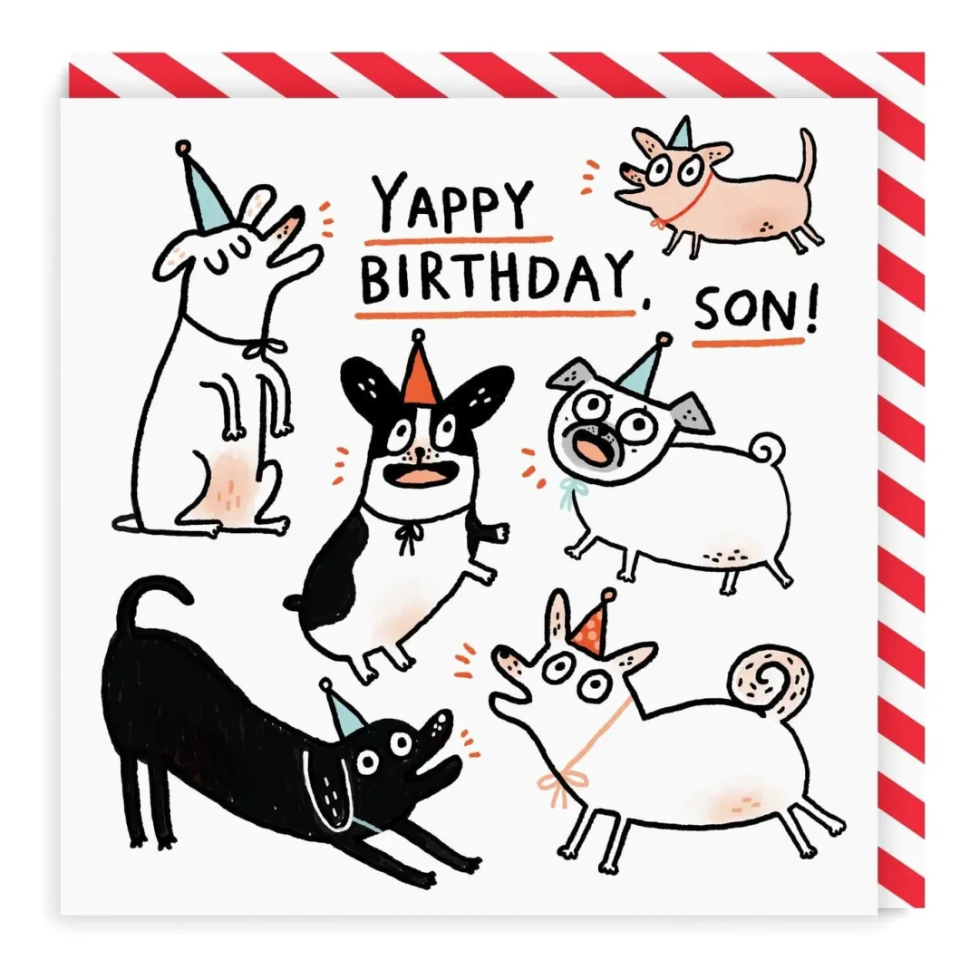 Gemma Correll Birthday Cards*Son Yappy Birthday Card