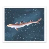 Ohh Deer Prints*Spiny Dogfish Riso Print (12x10)