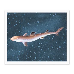 Ohh Deer Prints*Spiny Dogfish Riso Print (12x10)