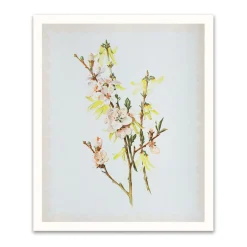 Kaleido Prints*Spring Blossom Riso Print (12x10)