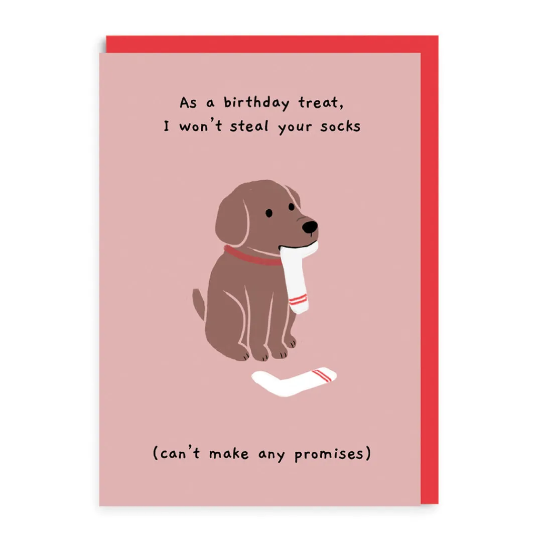Ken The Cat Birthday Cards*Steal Your Sock Birthday Card - Dog Lovers | Ohh Deer