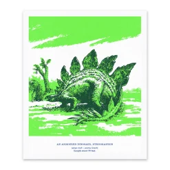 Natural History Museum Prints*Stegosaurus Riso Print (12x10)
