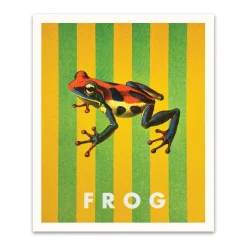 Kaleido Prints*Striped Frog Small Art Print (12x10)