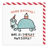 Gemma Correll Birthday Cards*Turtley Awesome Birthday Card