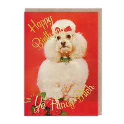 Smitten Kitten Birthday Cards*Ya Fancy Bitch Birthday Card - | Ohh Deer