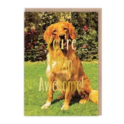 Smitten Kitten Birthday Cards*You're Effin Awesome Greeting Card | Ohh Deer