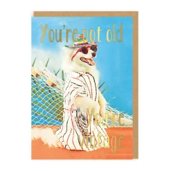 Ohh Deer Birthday Cards*You're Not Old, You're Vintage Greeting Card |