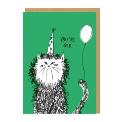 Badger u0026 Burke Birthday Cards*You're Old Cat Birthday Card | Ohh Deer